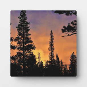 Sunset in Tuolumne Meadows, Yosemite, CA Plaque