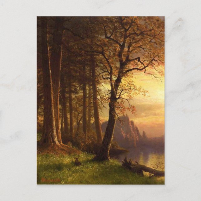 Sunset in Yosemite Postcard (Front)