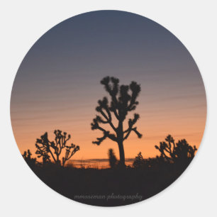 Sunset Joshua Trees Classic Round Sticker