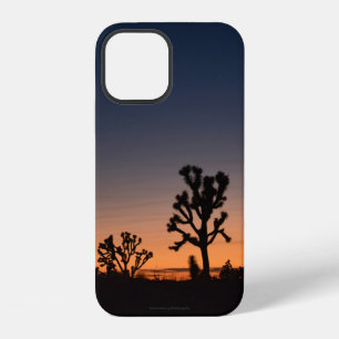 Sunset Joshua Trees iPhone 12 Case