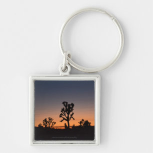 Sunset Joshua Trees Key Ring