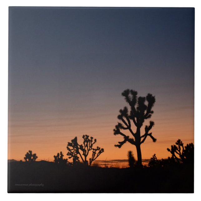 Sunset Joshua Trees Tile (Front)