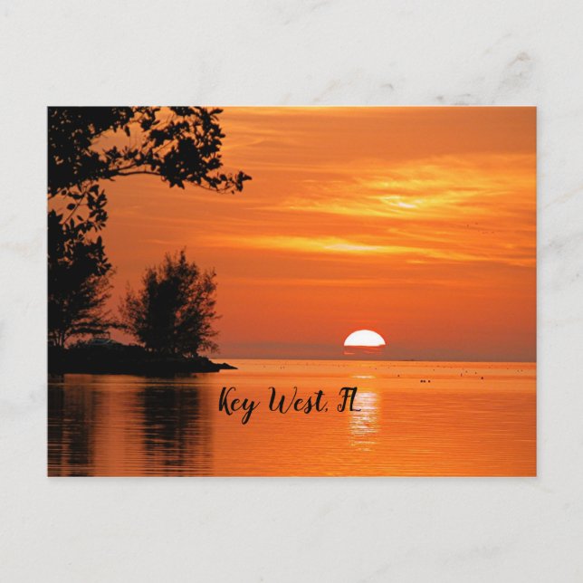 Sunset, Key West, Florida Postcard (Front)