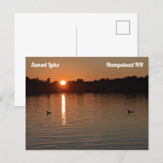 Sunset Lake Loons at Sunset Postcard