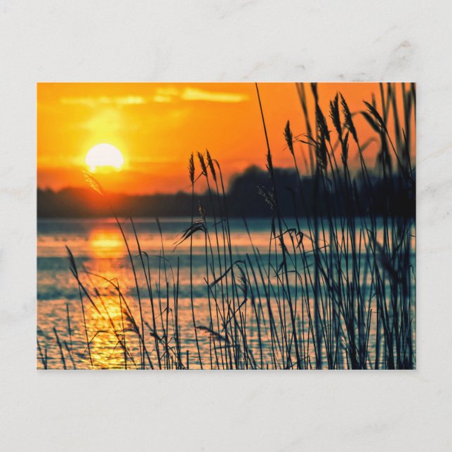 Sunset Lake Postcard (Front)