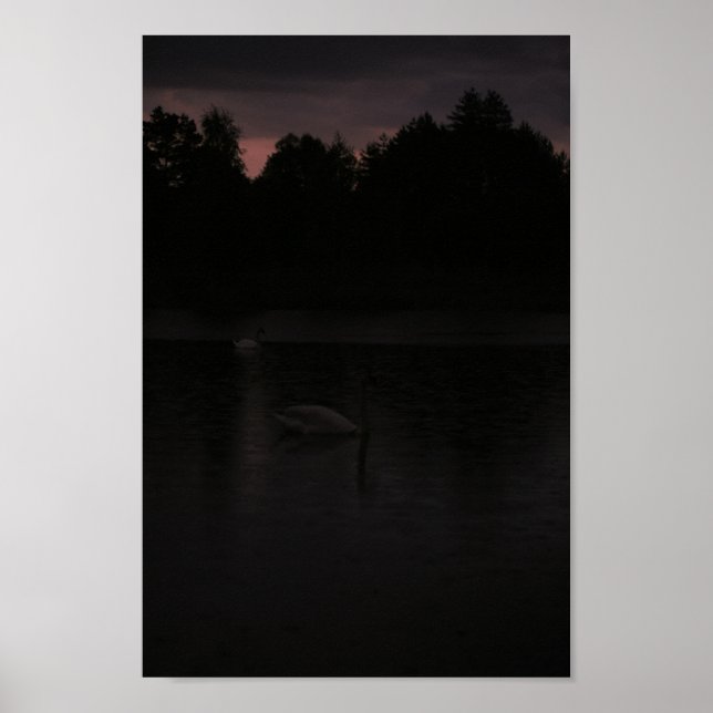Sunset Lake Rain Swans Nature Landscape Poster (Front)