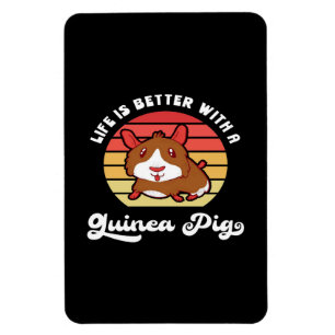 Sunset Life Better With A Guinea Pig   Cute Pet Magnet