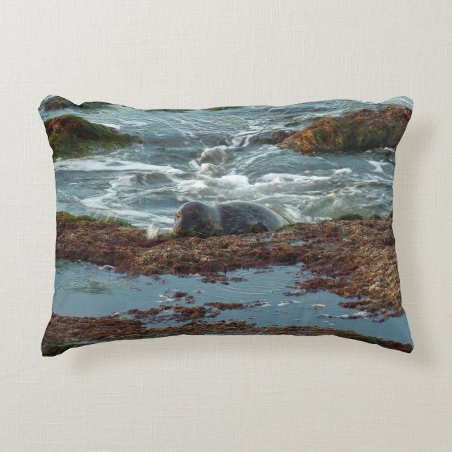 Sunset Lit Harbour Seal I at San Diego Decorative Cushion (Front)