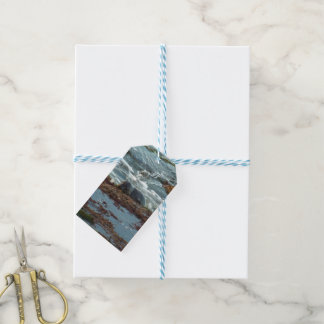 Sunset Lit Harbour Seal I at San Diego Gift Tags