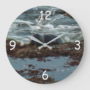 Sunset Lit Harbour Seal I at San Diego Large Clock