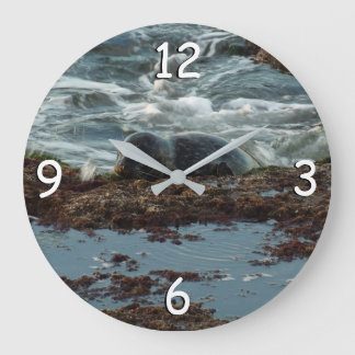 Sunset Lit Harbour Seal I at San Diego Large Clock
