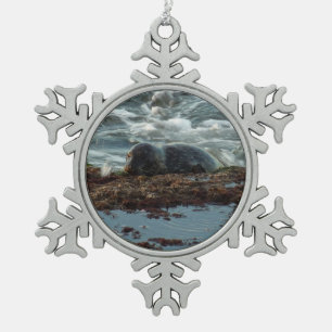 Sunset Lit Harbour Seal I at San Diego Snowflake Pewter Christmas Ornament