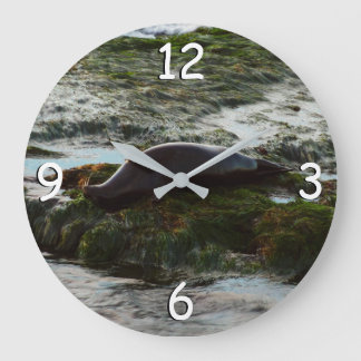 Sunset Lit Harbour Seal II at San Diego Large Clock