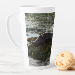 Sunset Lit Harbour Seal II at San Diego Latte Mug