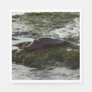 Sunset Lit Harbour Seal II at San Diego Napkin