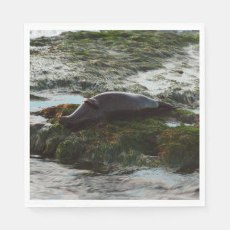 Sunset Lit Harbour Seal II at San Diego Napkin