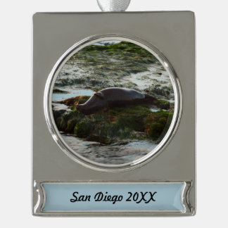 Sunset Lit Harbour Seal II at San Diego Silver Plated Banner Ornament