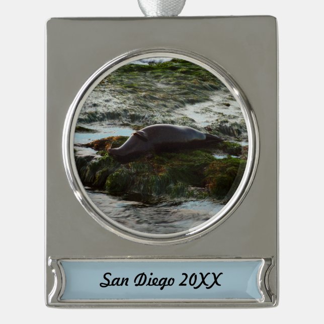 Sunset Lit Harbour Seal II at San Diego Silver Plated Banner Ornament (Front)