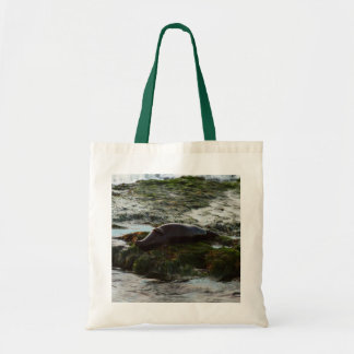 Sunset Lit Harbour Seal II at San Diego Tote Bag