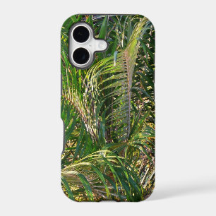 Sunset Lit Palm Fronds Tropical