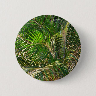 Sunset Lit Palm Fronds Tropical 6 Cm Round Badge