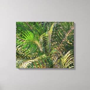 Sunset Lit Palm Fronds Tropical Canvas Print