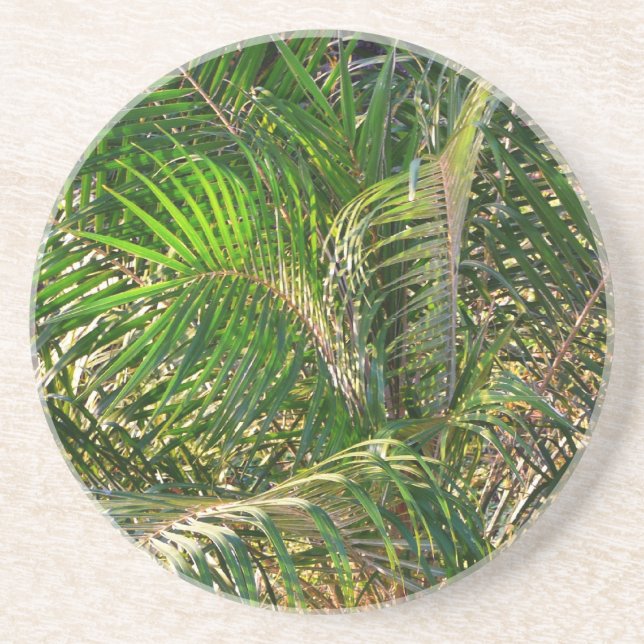 Sunset Lit Palm Fronds Tropical Coaster (Front)