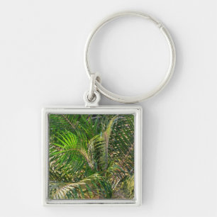 Sunset Lit Palm Fronds Tropical Key Ring