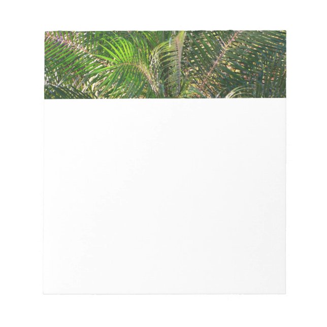 Sunset Lit Palm Fronds Tropical Notepad (Front)