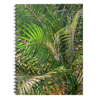 Sunset Lit Palm Fronds Tropical Spiral Notebook