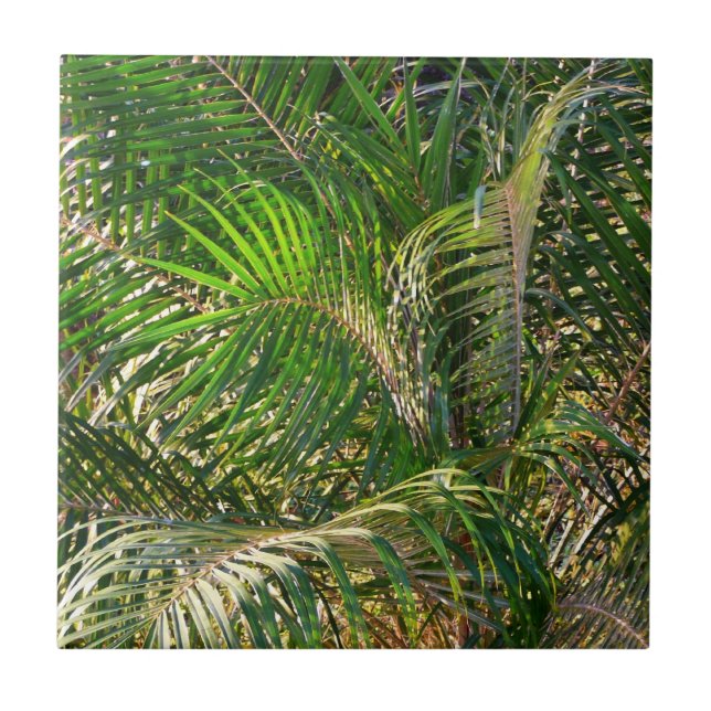 Sunset Lit Palm Fronds Tropical Tile (Front)
