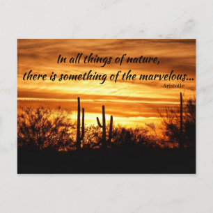 Sunset Marvels Postcard