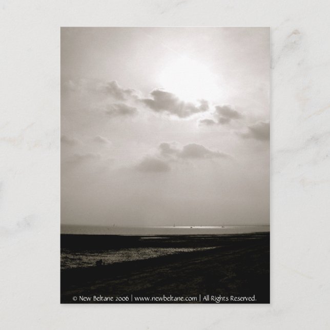 Sunset, Mersea Island Postcard (Front)