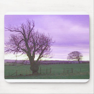 sunset mouse pad