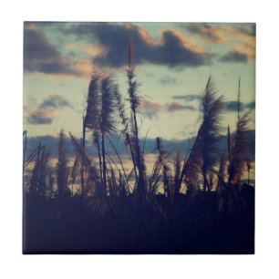 Sunset Nature Tile