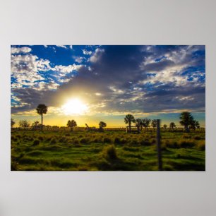 Sunset on a Florida Ranch Poster
