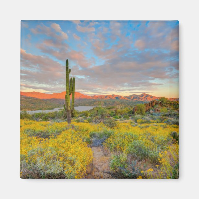 Sunset on Desert Landscape Magnet (Front)