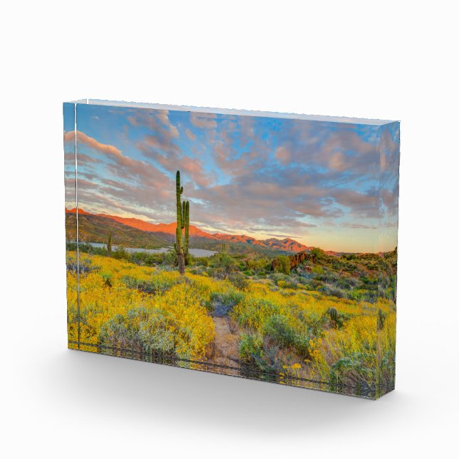 Sunset on Desert Landscape Photo Block (Right)