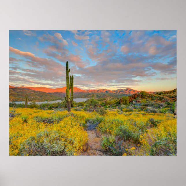 Sunset on Desert Landscape Poster (Front)