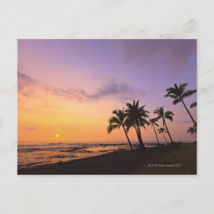 Sunset on Kahaluu Bay in Kona,Hawaii 2 Postcard