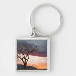 Sunset On Kandheri Swamp With African Spoonbills Key Ring