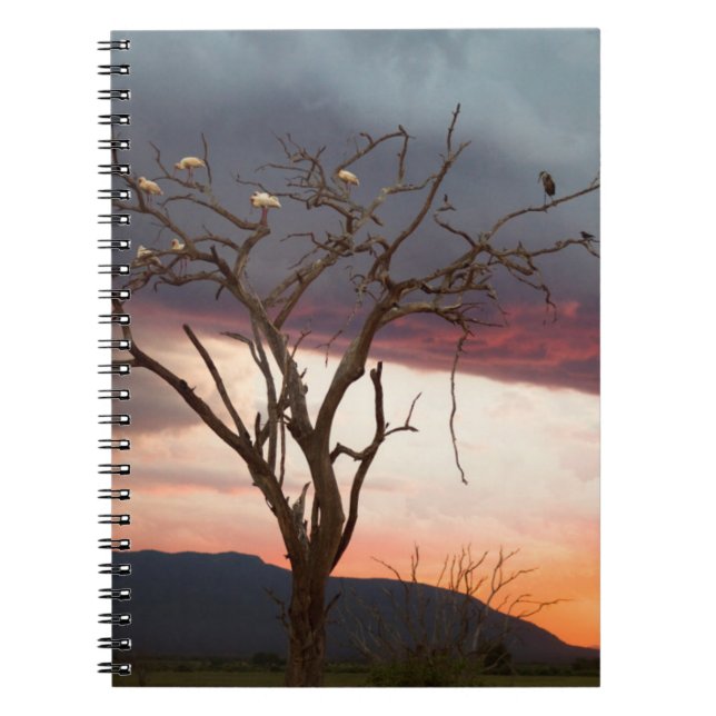 Sunset On Kandheri Swamp With African Spoonbills Spiral Notebook (Front)