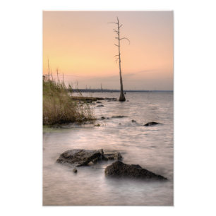 Sunset on Louisiana's Swamps Photo Print