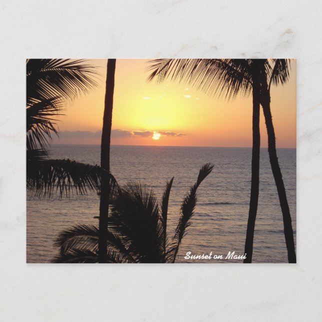 Sunset on Maui Postcard (Front)