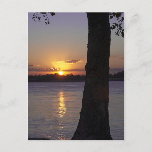 Sunset on Mississippi River Postcard (Front)