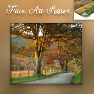 Sunset on Sparks Lane Poster
