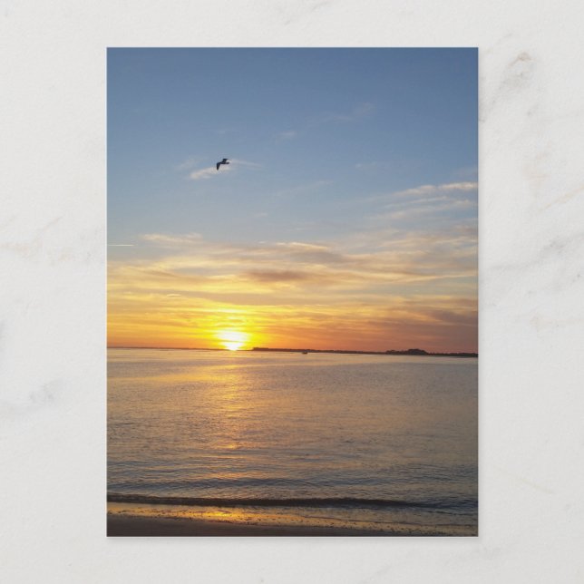 Sunset on Thanksgiving. Holiday Postcard (Front)