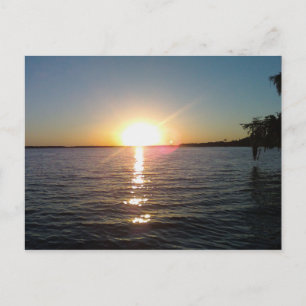 Sunset on the Bayou Postcard