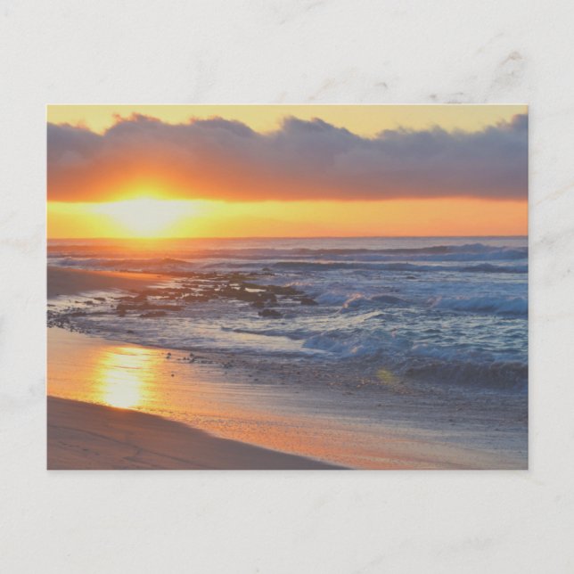 Sunset on the Beach   Postcard (Front)