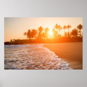 Sunset on the Beach with Coconut Palms   Sri Lanka Poster